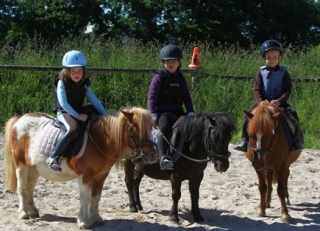  Clases de equitación para niños en el 29 